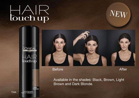 Loreal Hair Touch Up